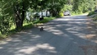 A Mysterious Figure On A Pennsylvania Road Leads A Family To An Unexpected Rescue