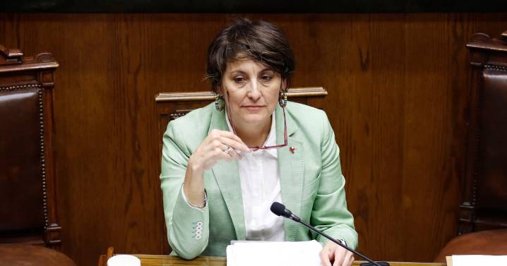 Carozzi, Nestlé, Ideal, Unilever y CCU sufren revés en disputa contra Minsal por mensaje en alimentos con sellos