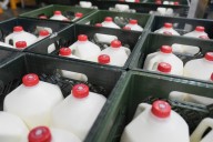 States worry about how to fill the gap in food aid ahead of a federal benefits halt