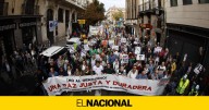 Madrid clama por la paz en Palestina en una manifestación con centenares de asistentes