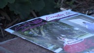 Acusan de robo a organizador de quinceañeras VIP Events en San José