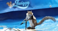 Viral water skiing squirrel visits Winston