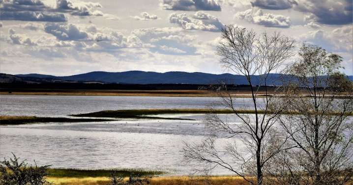 A 'multi-headed snake' near Tarago threatens water table, say activists