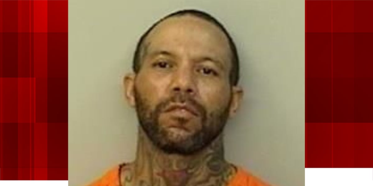Lake Charles man was on drugs when he fatally hit pedestrian, police say