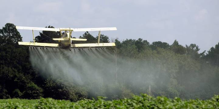 Central Texas rancher files suit against crop dusting company after he lost 21 acres of hay