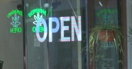Wisconsin Republicans introduce medical marijuana bill