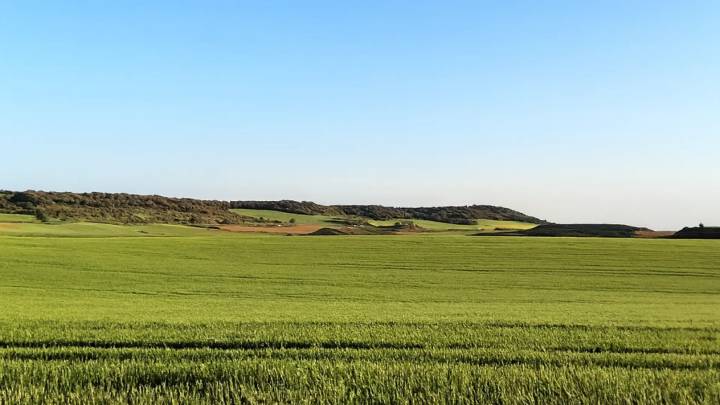 Crecer juntos: el valor del cooperativismo agroalimentario en Aragón