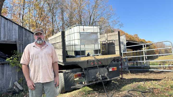 Twenty-nine cows, eight pigs and no water