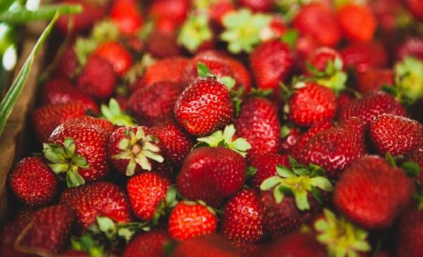Época de frutillas: tips para conservarlas y las mejores recetas