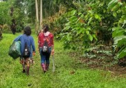 Proyecto de fibra óptica en la Amazonía asegura aval fiscal