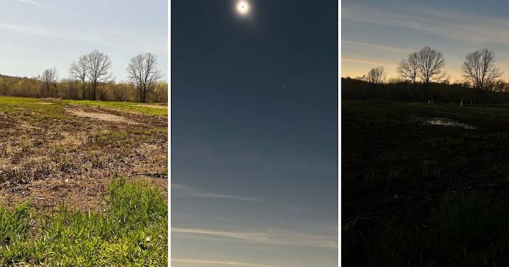 Research reveals why birds sang after total solar eclipse