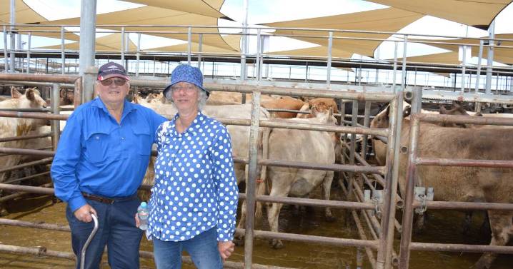Quality bloodlines in strong demand at Dubbo spring female feature