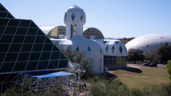 Endangered Sonoyta pupfish find refuge in Arizona's Biosphere 2
