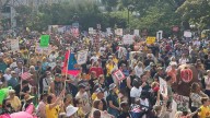 Hoosiers join 'No Kings' protest on the steps of Indiana state capitol