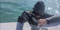 $1M in Spanish coins found off Florida's 'Treasure Coast' after 1715 shipwreck