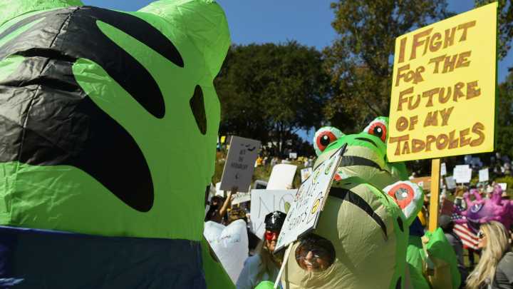 PHOTOS: 'No Kings' protest at Greenville's Falls Park