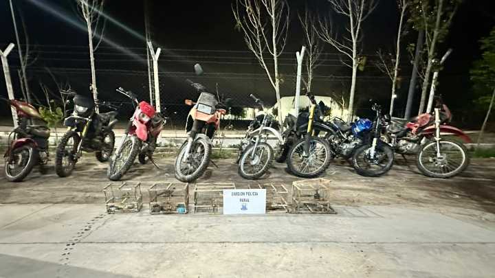 Un solo operativo secuestraron rodados adulterados y aves autóctonas