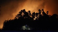 El incendio del monte Areo que obligó a desalojar a medio centenar de vecinos en Gijón, controlado