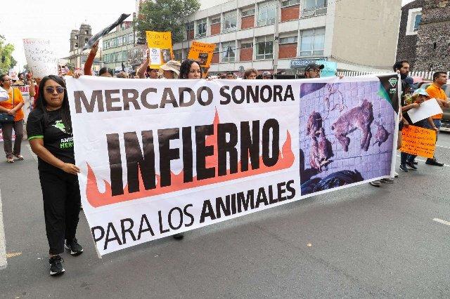 Victoria histórica para el bienestar animal: prohíben venta de animales en el Mercado de Sonora
