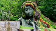 Georgia's Most Beautiful Garden Boasts 30 Acres And A Stunning, Living Sculpture
