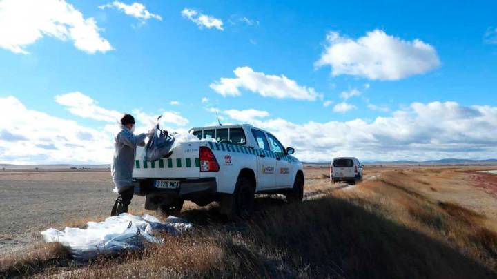 Confirmada la presencia de gripe aviar en aves silvestres muertas en distintos puntos de Aragón
