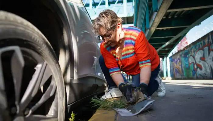Gobierno de La Paz limpia camellón de la carretera México