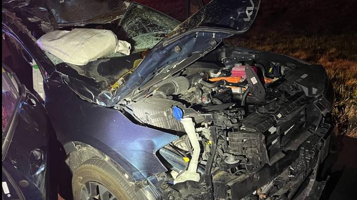 Candia, NH moose crash sends 1 person to hospital; multiple vehicles involved