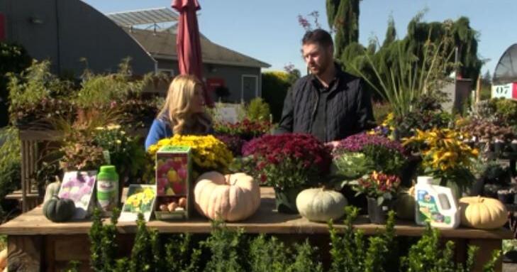 In the Garden: Fall Gardening Tips