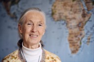Jane Goodall, legendary primatologist, has died at age 91