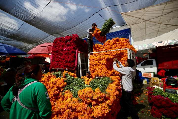 Apuran familias compras de flores, adornos, veladoras y alimentos para honrar a difuntos