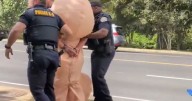 Police arrest 'penis woman' who goes floppy when authorities try and catch her