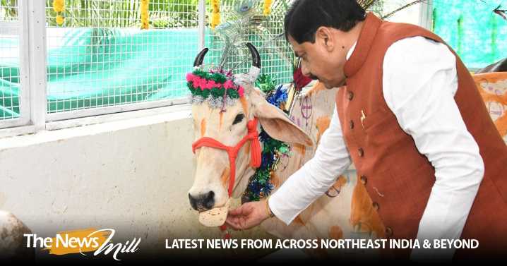 MP CM Yadav performs Gau-seva, feeds Chapatis to cows on occasion of Govardhan puja at CM House