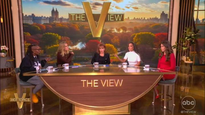 ‘This Is a Choice!’ The View Crew Throws Down Over Government Shutdown
