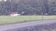 BREAKING NEWS: Crocodile attacks boy near Cape Tribulation