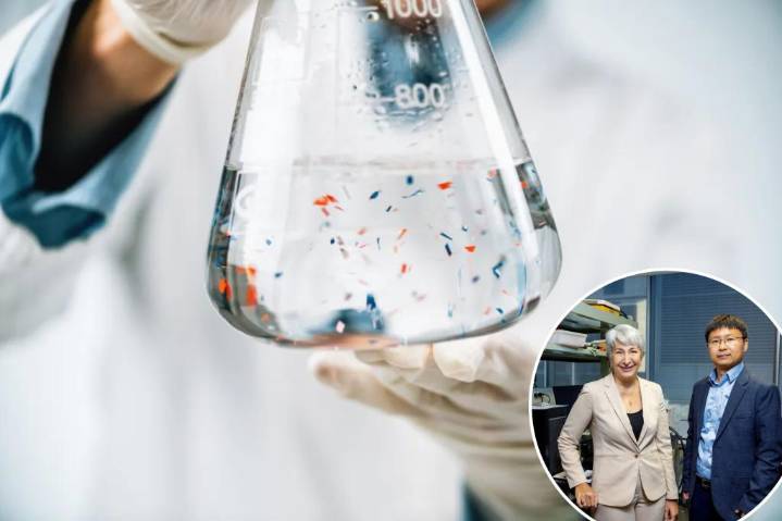 Common habit floods your body with 90K microplastics: study