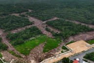 Clausuran obras del proyecto inmobiliario “Savia Residencial” en Mérida por tala ilegal
