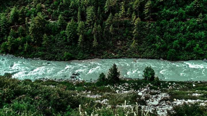 India rises to ninth position globally in total forest area