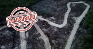Clausuran pista de motocross en Yucatán: devastaron más de 4 hectáreas de selva sin permiso ambiental