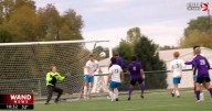 Wiliamsville & Meridian advance to regional finals