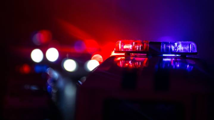 Hit-and-run driver kills dog, injures man in Thurston County