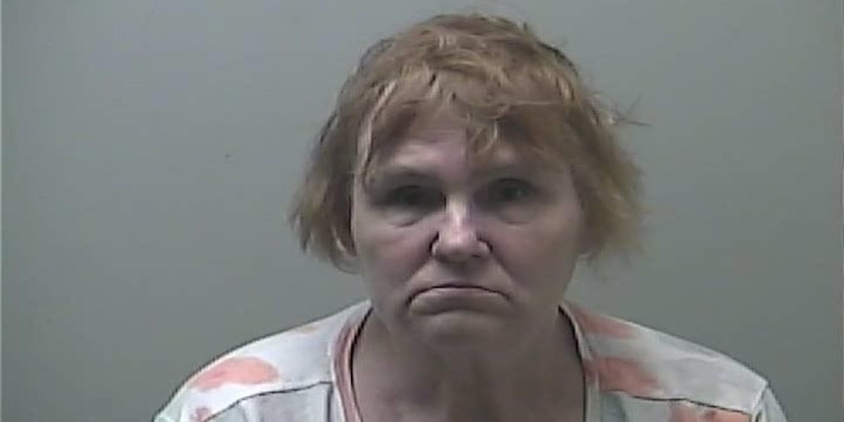 Babysitter charged with 47 counts of criminal sexual conduct
