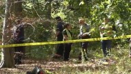 Investigation underway after human remains found in Cumberland County