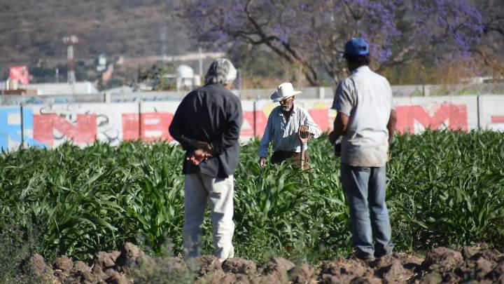 Seguiremos de la mano con los productores con diálogo y apertura: Libia Dennise García