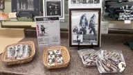 Local businesses see boost during Kiss 50th anniversary weekend