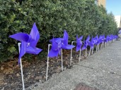 Purple pinwheels planted in downtown Charleston for Domestic Violence Awareness Month