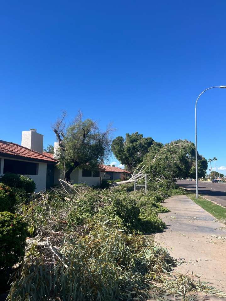 Tempe, Phoenix clean up after powerful storm