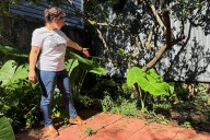 A long-lost ancient Roman artifact reappears in a New Orleans backyard