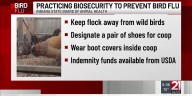 Three new bird flu cases detected in Elkhart, LaGrange Counties, state agency says