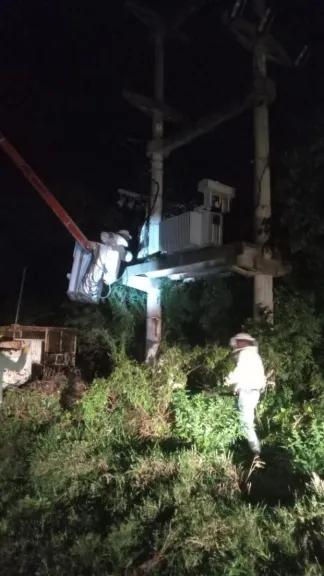 Realizaron remoción de enjambres de abejas en cercanías del Club Social
