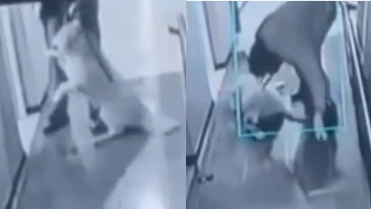 Hombre fue grabado golpeando brutalmente a su perro golden retriever en Bogotá: vecinos exigen castigo ejemplar